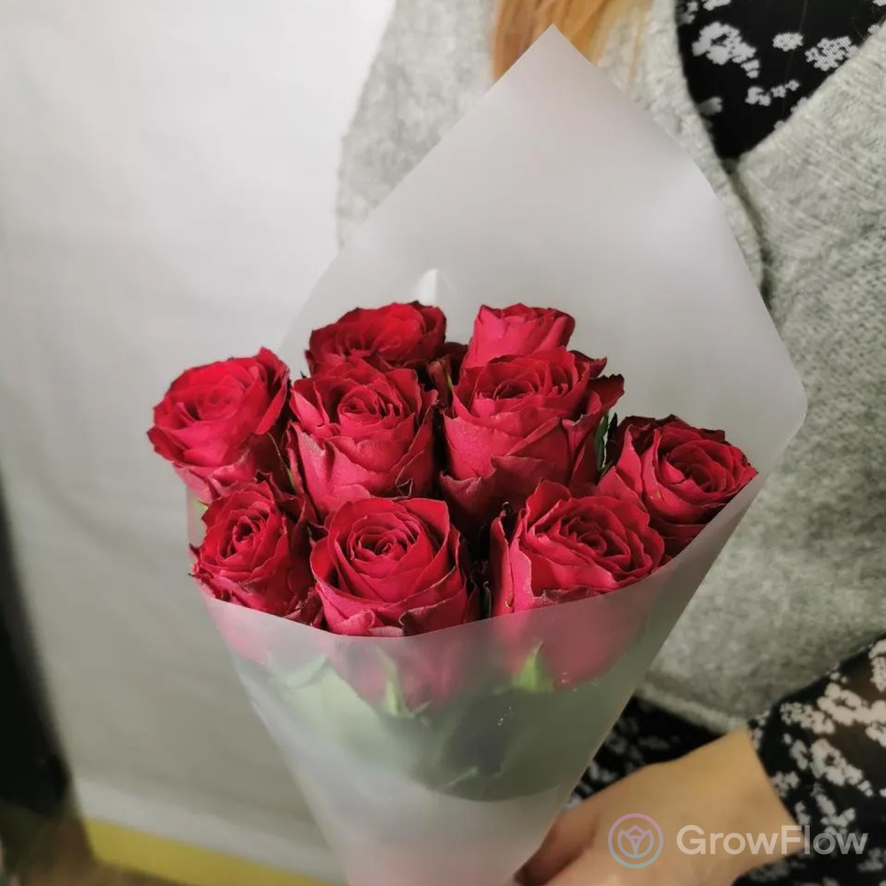 9 красных роз в прозрачной упаковке купить в Москве по цене 2290₽