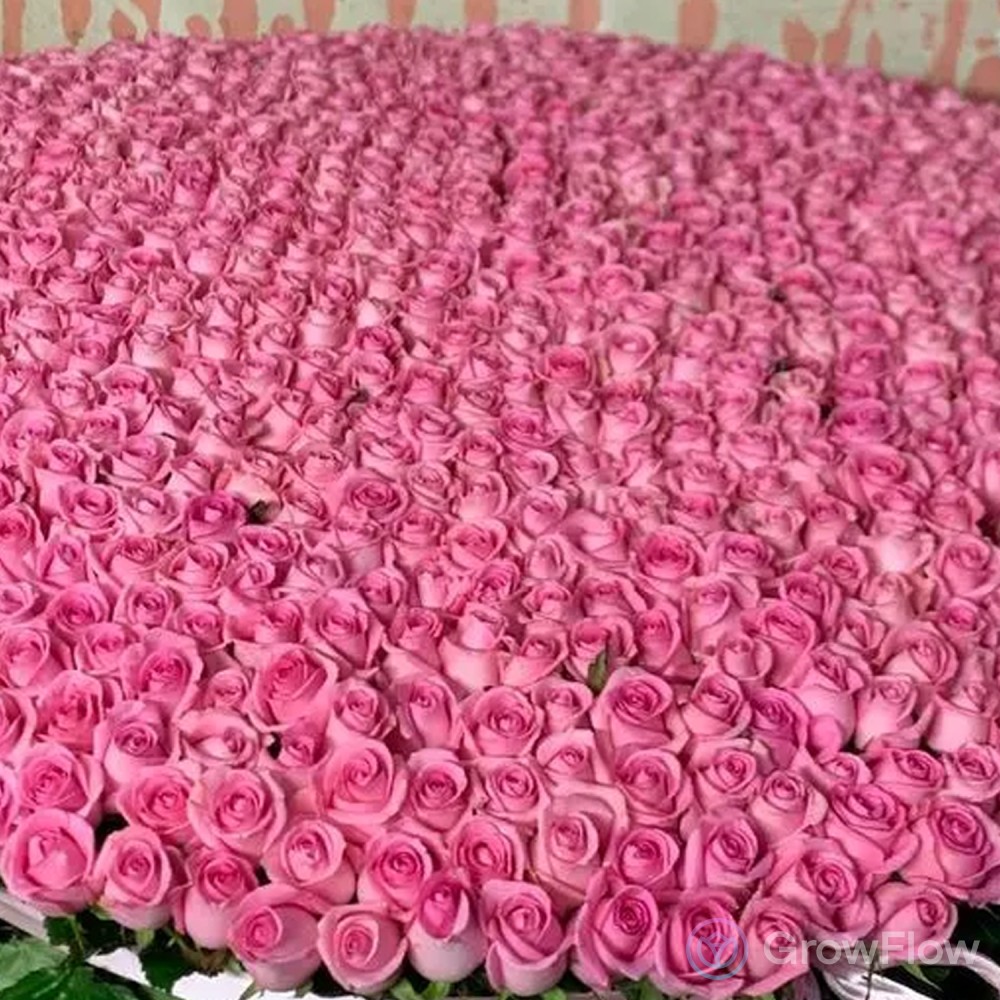 1001 розовые розы в корзине с лентой купить в Москве по цене 206990₽ | Арт.  104-758