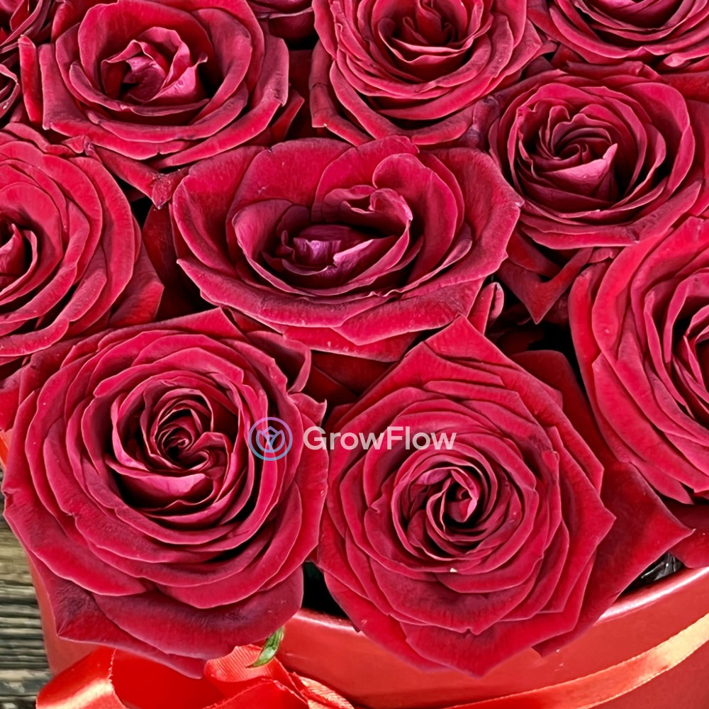 Красные розы в шляпной коробке