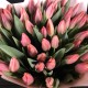 Букет из пыльно-розовых тюльпанов