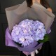 Сиреневая гортензия в упаковке